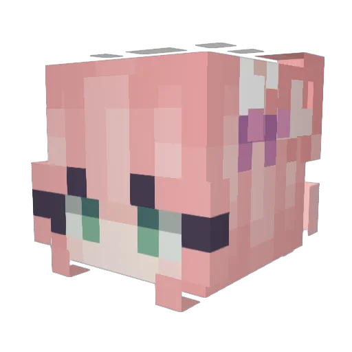kaidinlkl Minecraft avatar head, 3D render