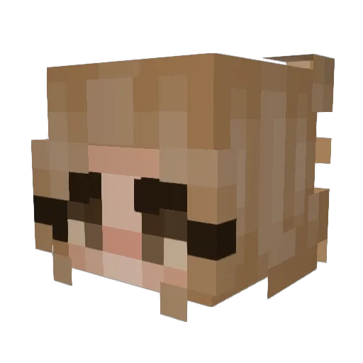 kaiissii Minecraft avatar head, 3D render
