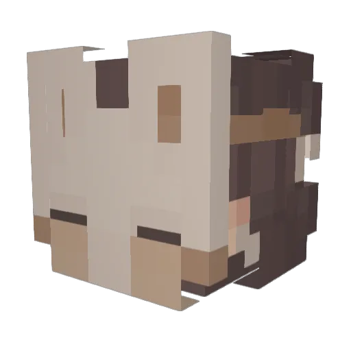 kaijoryl Minecraft avatar head, 3D render