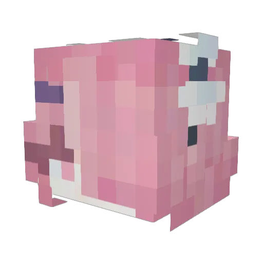 kaikaruzawa Minecraft avatar head, 3D render