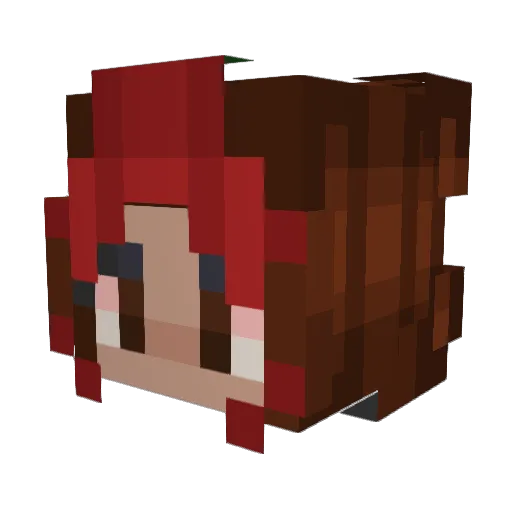 kailaroo Minecraft avatar head, 3D render