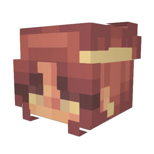 kailee777 Minecraft avatar head, 3D render