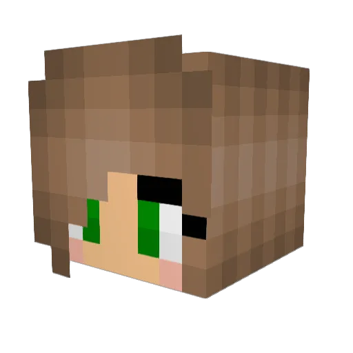 kailenki Minecraft avatar head, 3D render