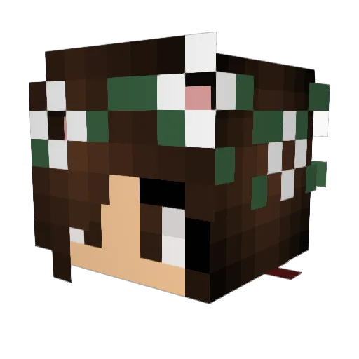 kaileycat6 Minecraft avatar head, 3D render