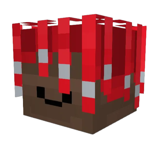 kaillouu_ Minecraft avatar head, 3D render