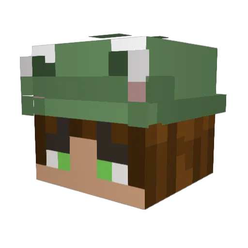 kaimalu_ Minecraft avatar head, 3D render