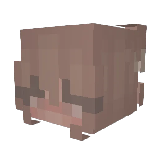 kaipolol Minecraft avatar head, 3D render