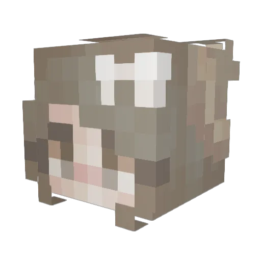 kaiqii Minecraft avatar head, 3D render