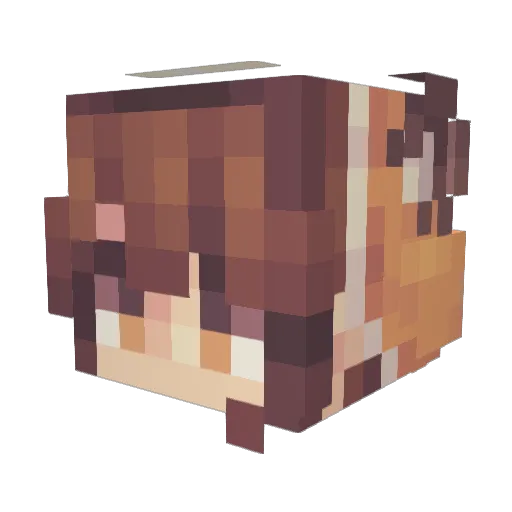 kaiquesc Minecraft avatar head, 3D render