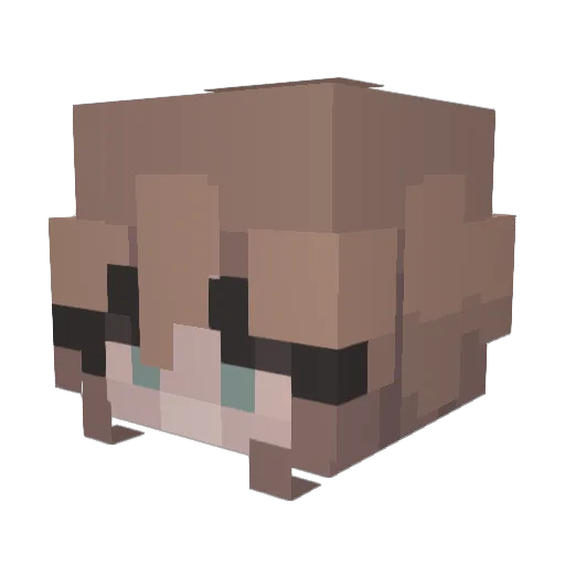 kairene Minecraft avatar head, 3D render