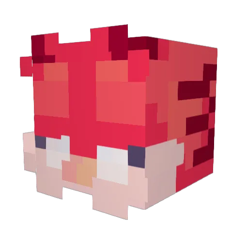 kaiser30 Minecraft avatar head, 3D render