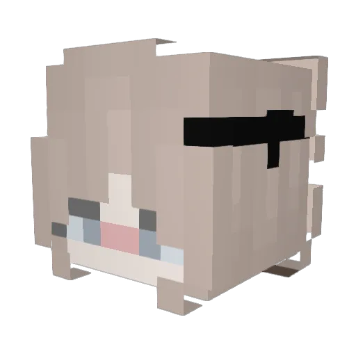 kaishu4595 Minecraft avatar head, 3D render