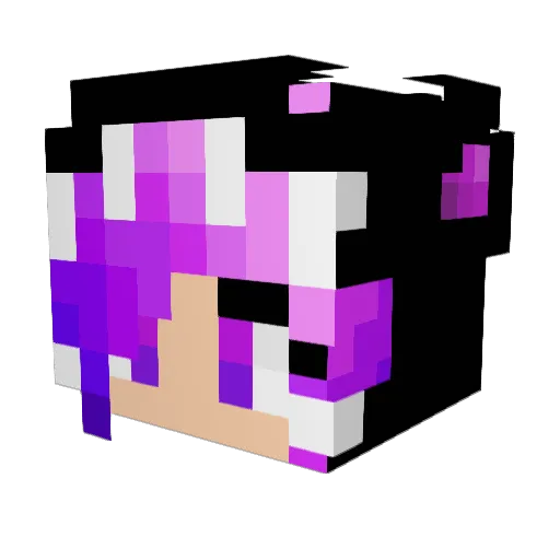 kaitkitty11 Minecraft avatar head, 3D render