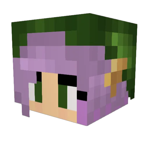 kaitlynbuggi68 Minecraft avatar head, 3D render