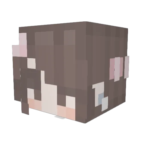 kaitlynintexas Minecraft avatar head, 3D render