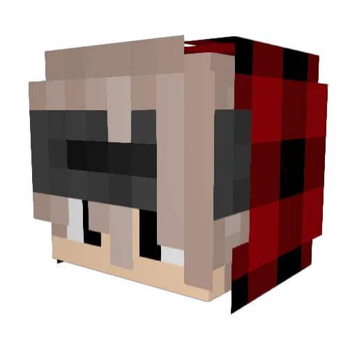 kaitlynn1229 Minecraft avatar head, 3D render