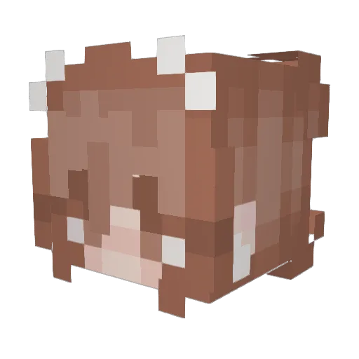 kaitlynt99 Minecraft avatar head, 3D render