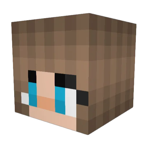 kaitykaitlyn Minecraft avatar head, 3D render
