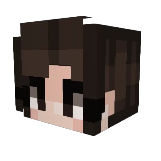 kaiyaxx4910 Minecraft avatar head, 3D render