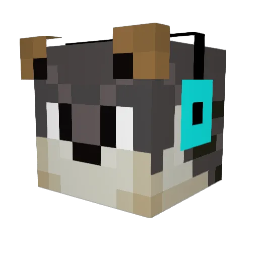 kaj32013 Minecraft avatar head, 3D render