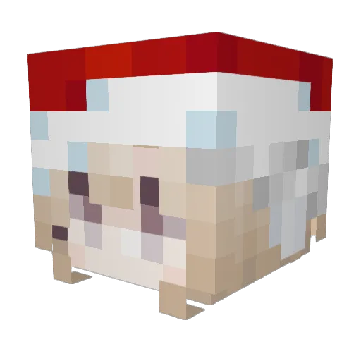 kajaan Minecraft avatar head, 3D render
