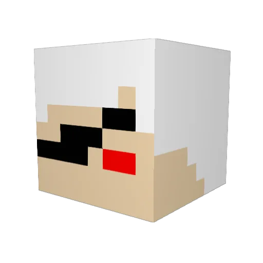 kajin1116 Minecraft avatar head, 3D render