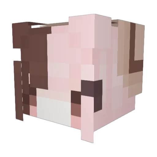 kajsabajsar Minecraft avatar head, 3D render