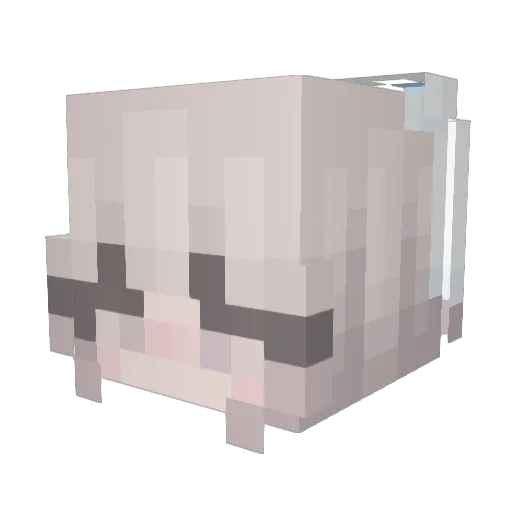 kajtel Minecraft avatar head, 3D render
