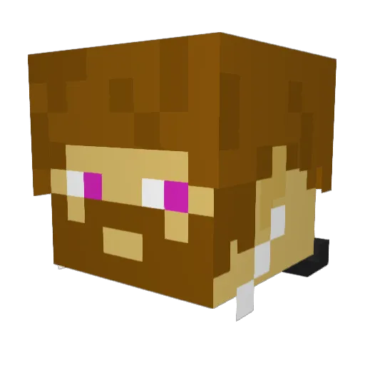 kakapais Minecraft avatar head, 3D render