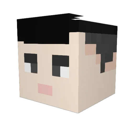 kakassh_ Minecraft avatar head, 3D render