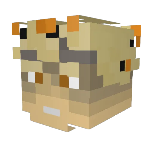 kakimba Minecraft avatar head, 3D render