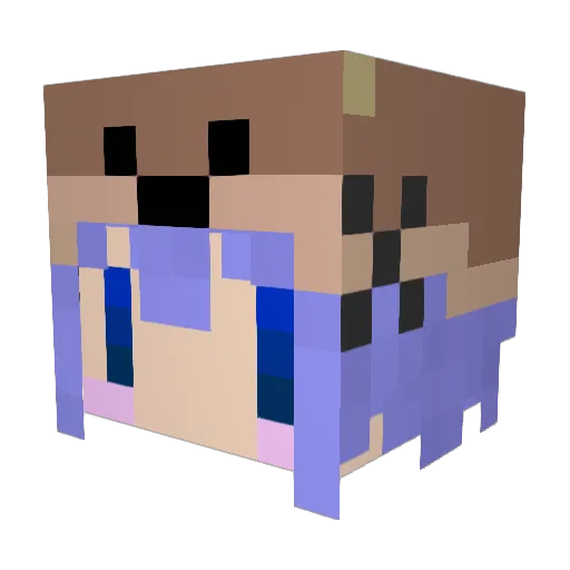 kakiseki_ Minecraft avatar head, 3D render