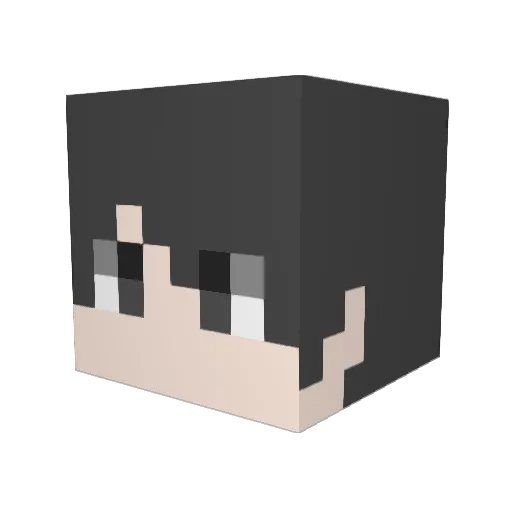 kakkon10 Minecraft avatar head, 3D render