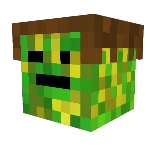 kaktuswurzel Minecraft avatar head, 3D render