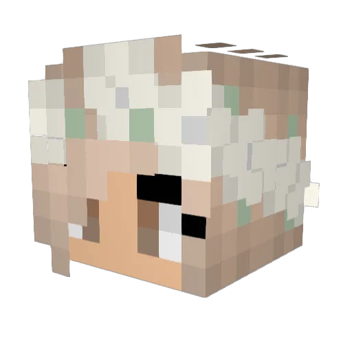 kale_chipes Minecraft avatar head, 3D render