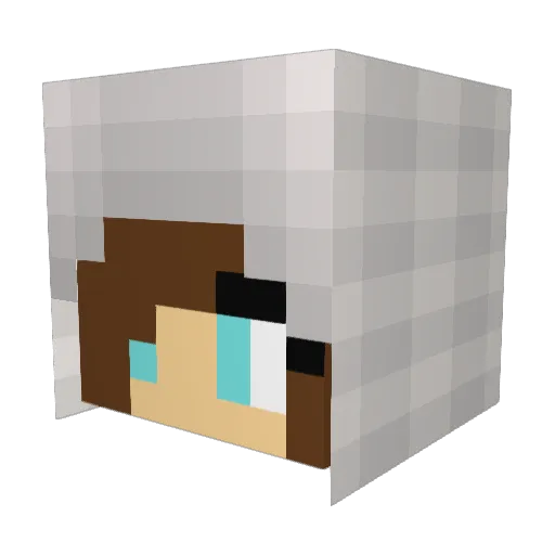 kalei1104 Minecraft avatar head, 3D render
