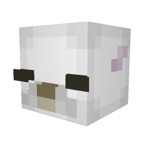 kaleisgood Minecraft avatar head, 3D render