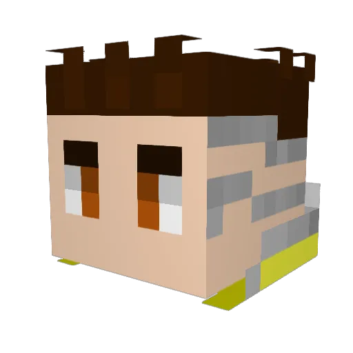 kalej09 Minecraft avatar head, 3D render