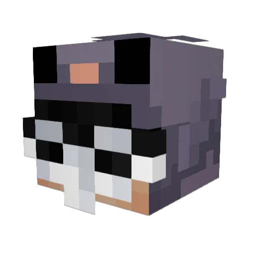 kalelwl Minecraft avatar head, 3D render