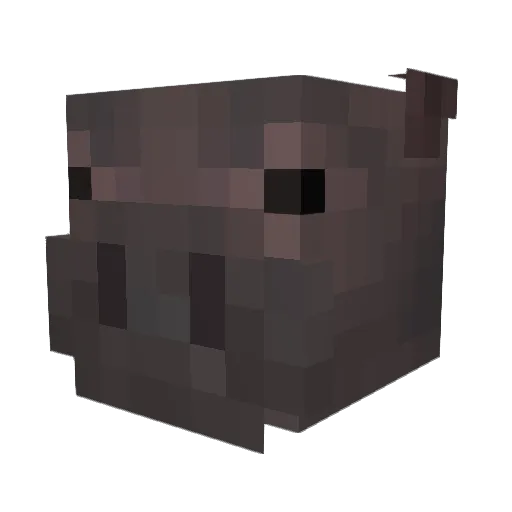 kalkkunapihvi Minecraft avatar head, 3D render