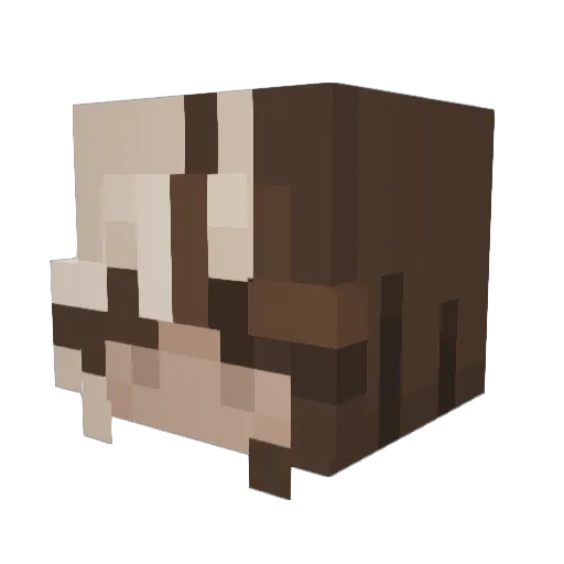 kalla05 Minecraft avatar head, 3D render