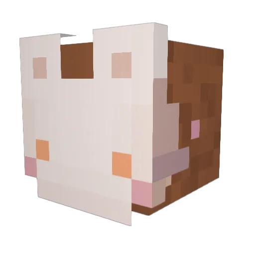 kalliey78 Minecraft avatar head, 3D render
