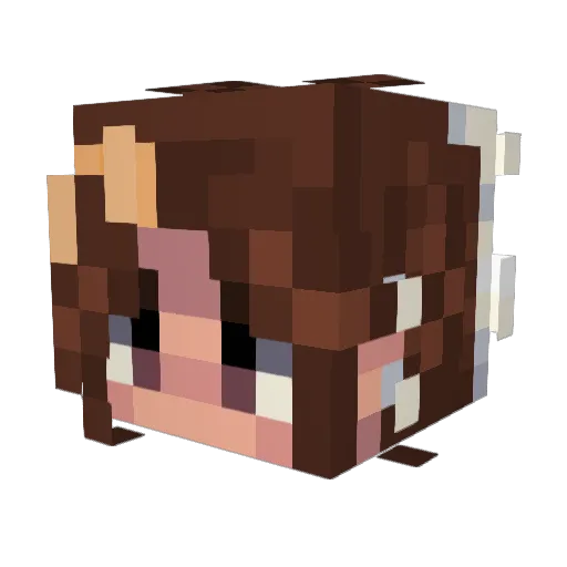 kallykalpak Minecraft avatar head, 3D render