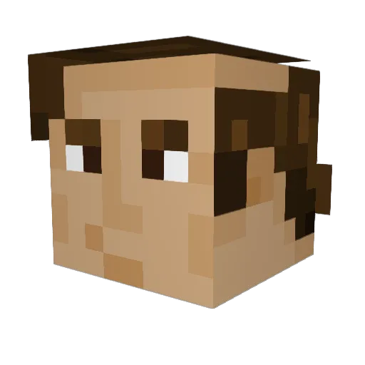 kalsongmannen04 Minecraft avatar head, 3D render