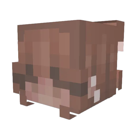 kam3el Minecraft avatar head, 3D render