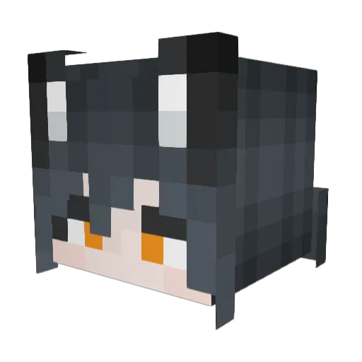 kamako66 Minecraft avatar head, 3D render