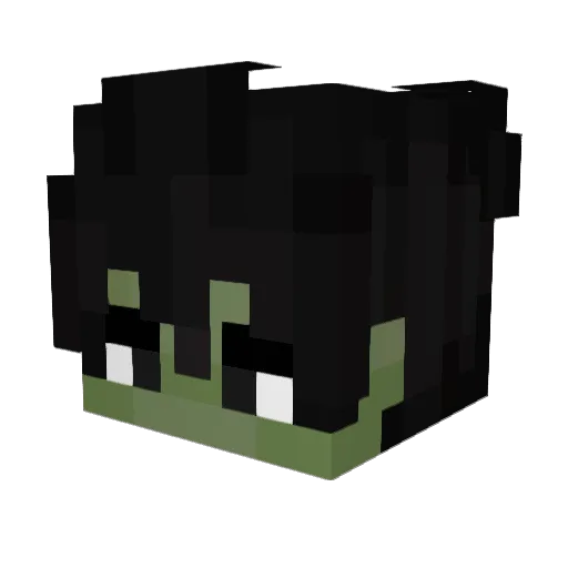 kamdrinkswater Minecraft avatar head, 3D render
