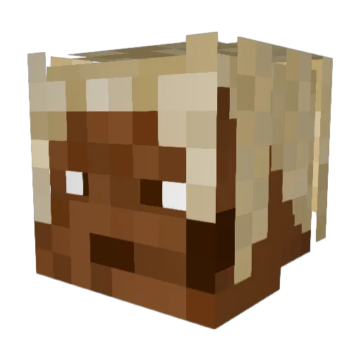 kameal_x Minecraft avatar head, 3D render