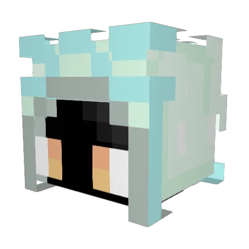 kameru22 Minecraft avatar head, 3D render