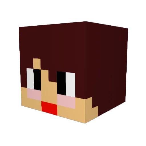 kameyan314 Minecraft avatar head, 3D render